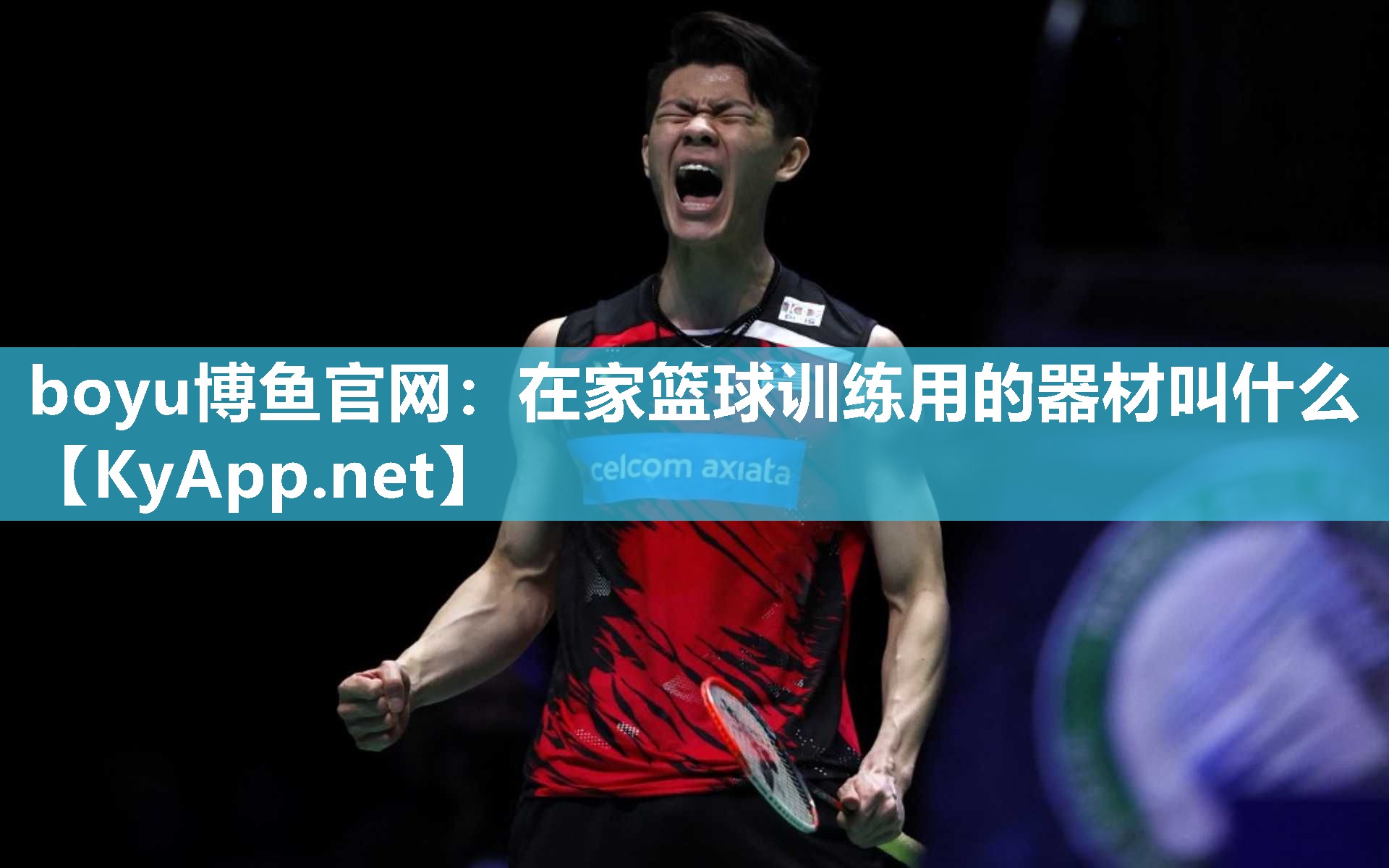 boyu博鱼官网：在家篮球训练用的器材叫什么