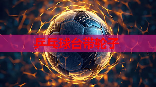 乒乓球台带轮子