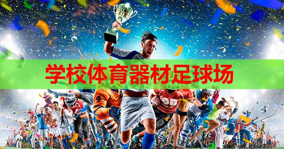 学校体育器材足球场