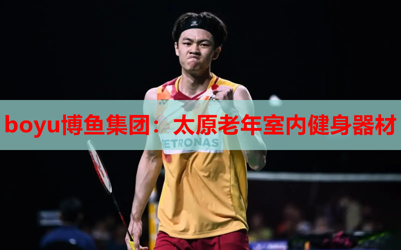 boyu博鱼集团：太原老年室内健身器材