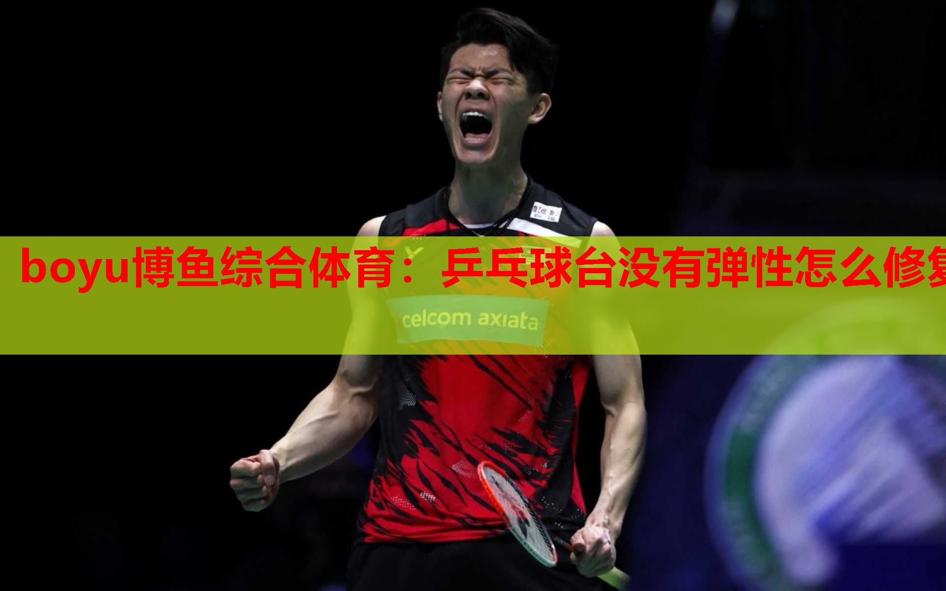 boyu博鱼综合体育：乒乓球台没有弹性怎么修复