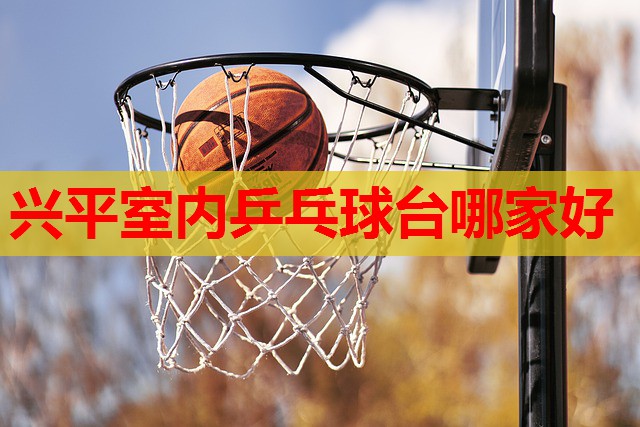兴平室内乒乓球台哪家好