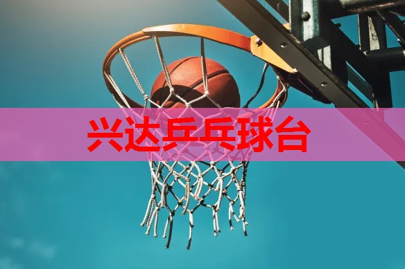 兴达乒乓球台