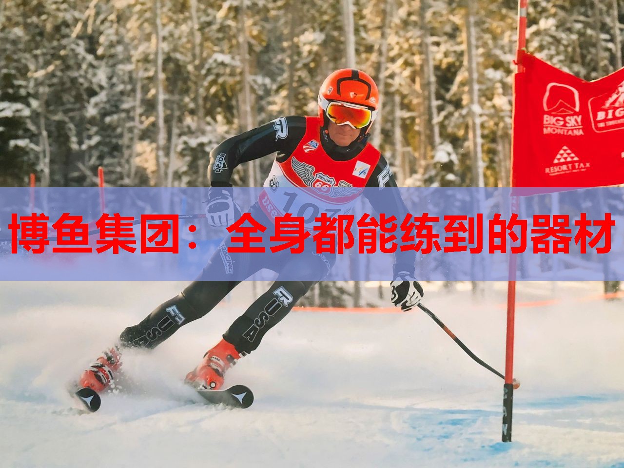 博鱼集团：全身都能练到的器材