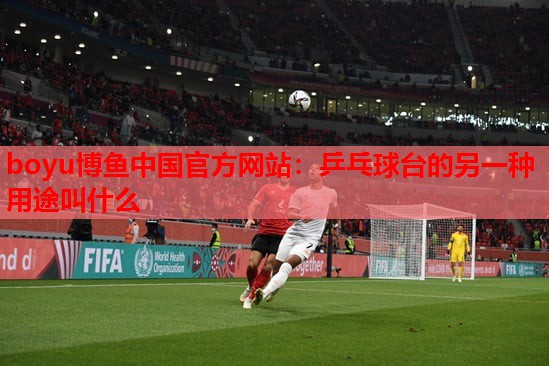 boyu博鱼中国官方网站：乒乓球台的另一种用途叫什么