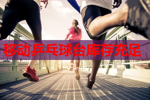 移动乒乓球台库存充足