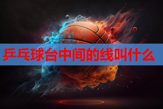 乒乓球台中间的线叫什么