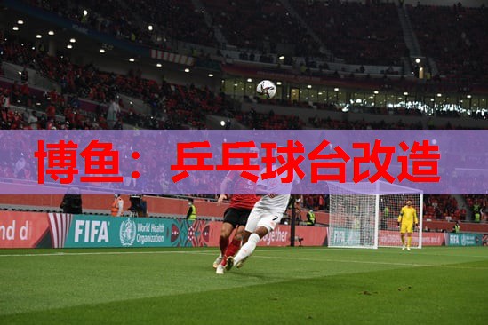 博鱼：乒乓球台改造