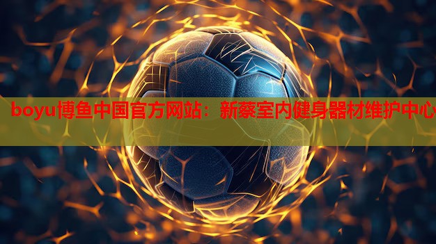 boyu博鱼中国官方网站：新蔡室内健身器材维护中心