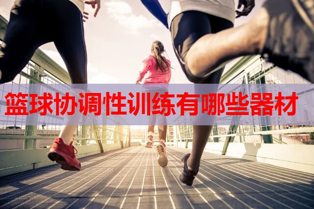 篮球协调性训练有哪些器材