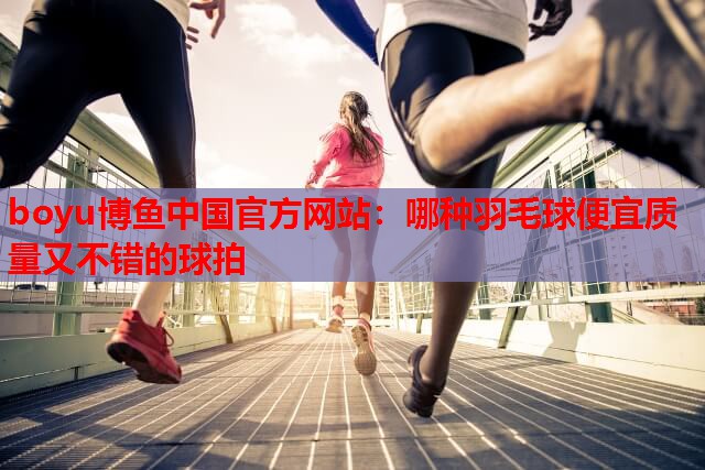 boyu博鱼中国官方网站：哪种羽毛球便宜质量又不错的球拍