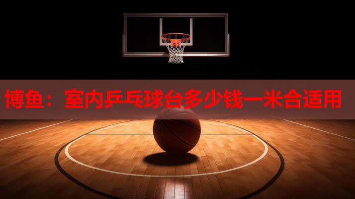 博鱼：室内乒乓球台多少钱一米合适用
