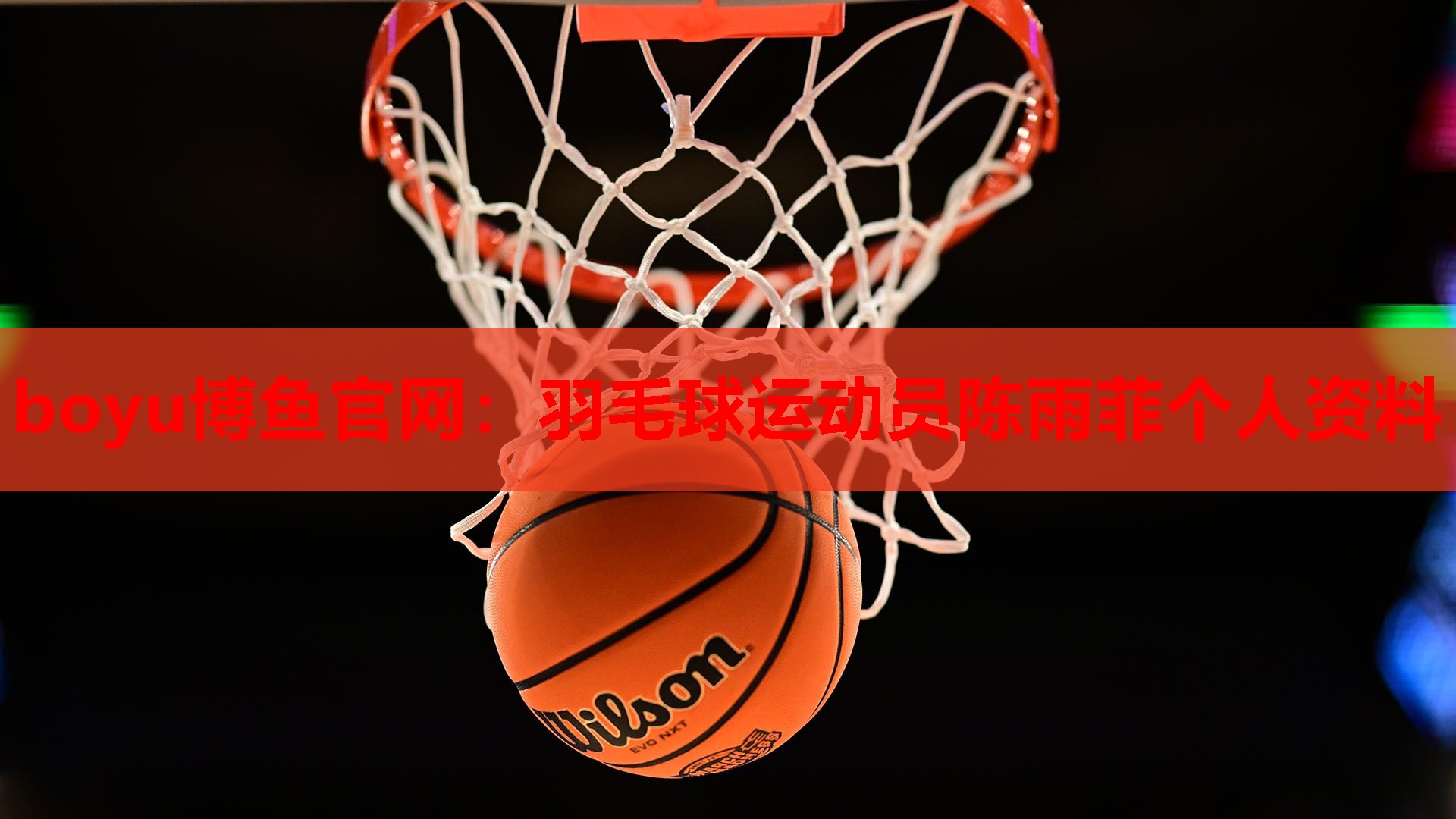 boyu博鱼官网：羽毛球运动员陈雨菲个人资料
