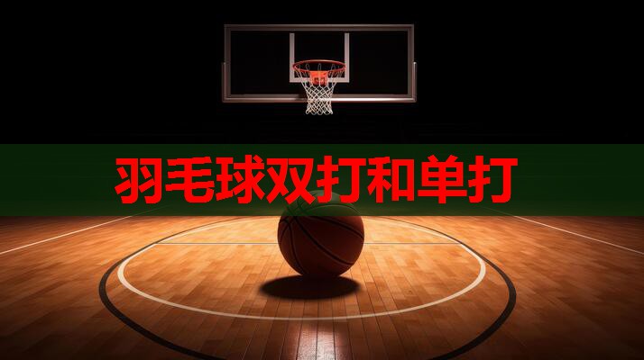 羽毛球双打和单打