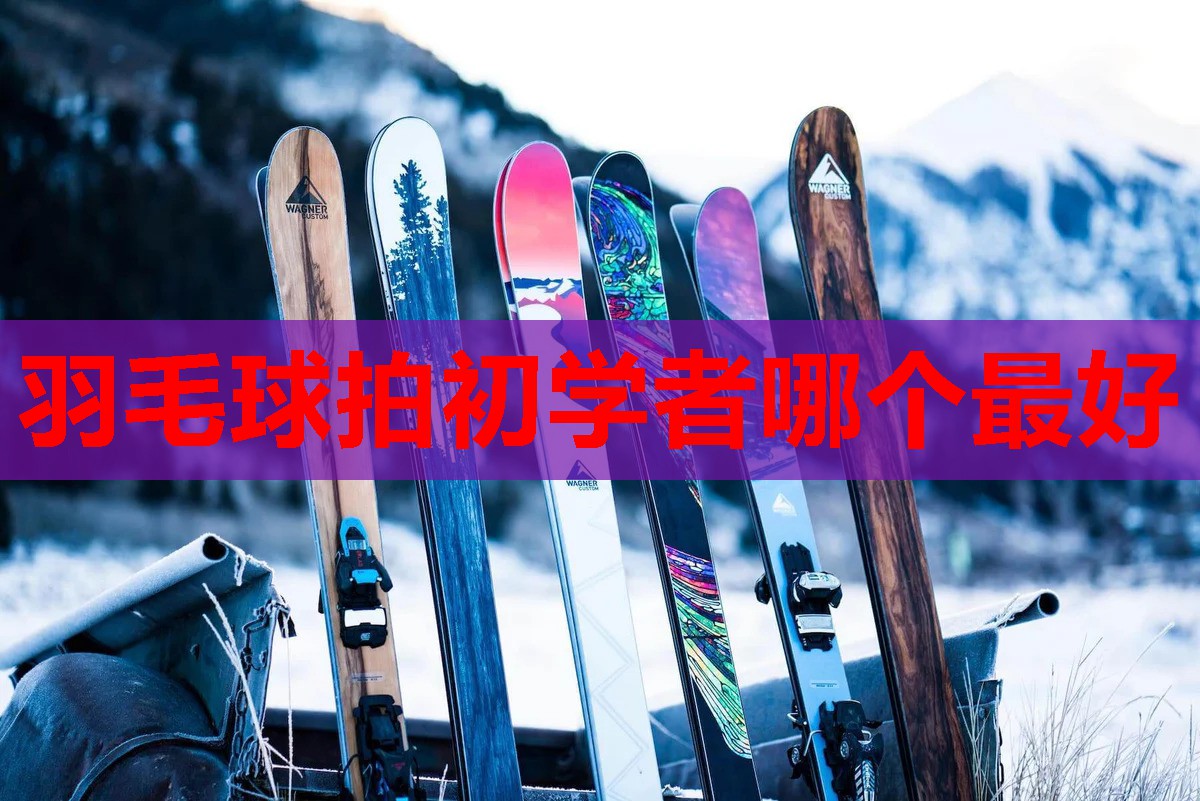 羽毛球拍初学者哪个最好