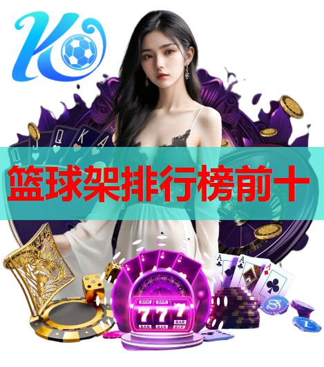 篮球架排行榜前十