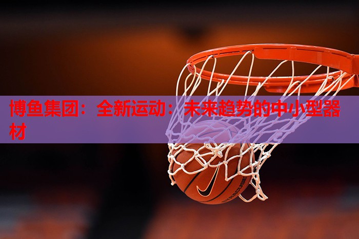 博鱼集团：全新运动：未来趋势的中小型器材