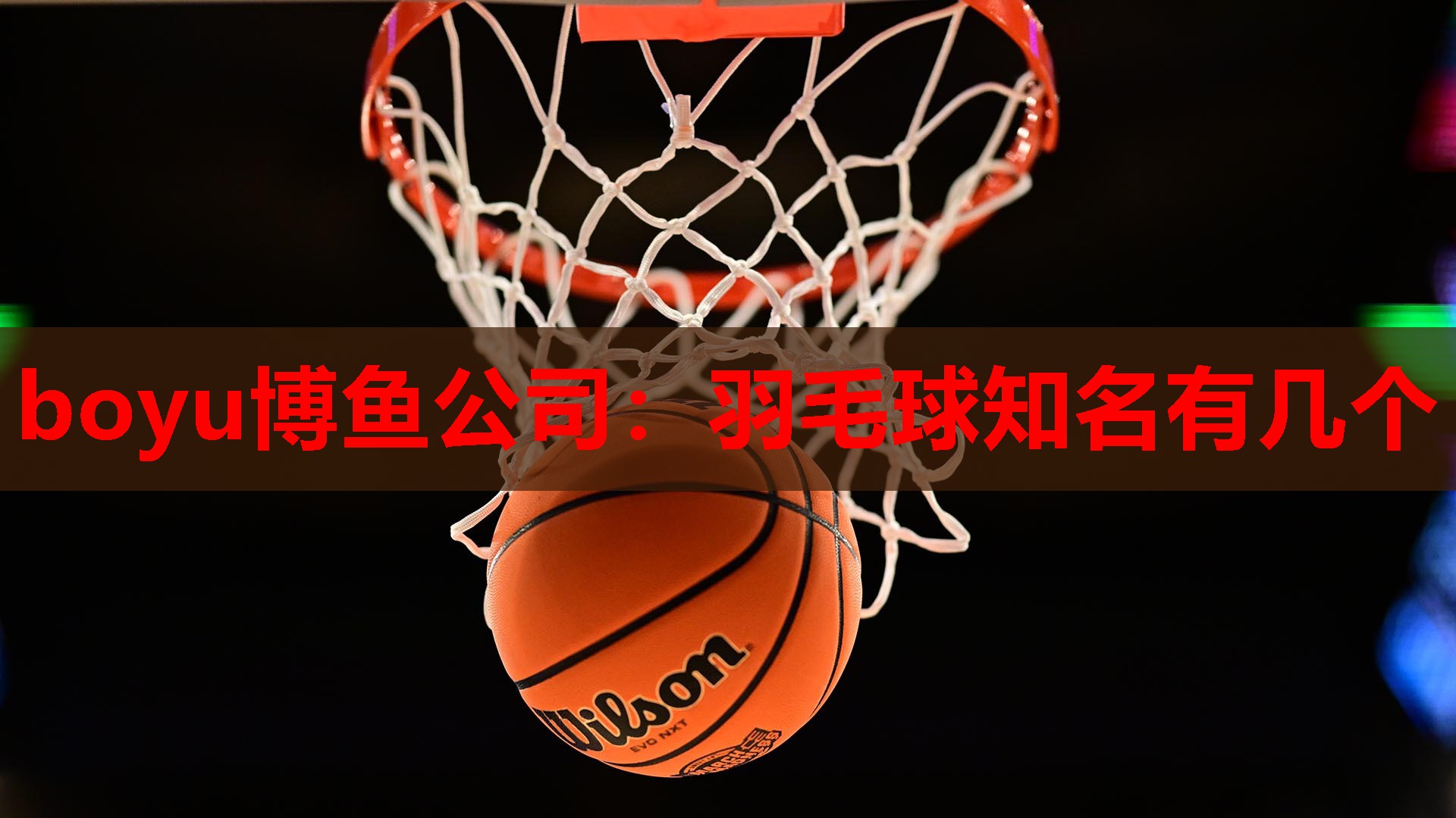 boyu博鱼公司：羽毛球知名有几个