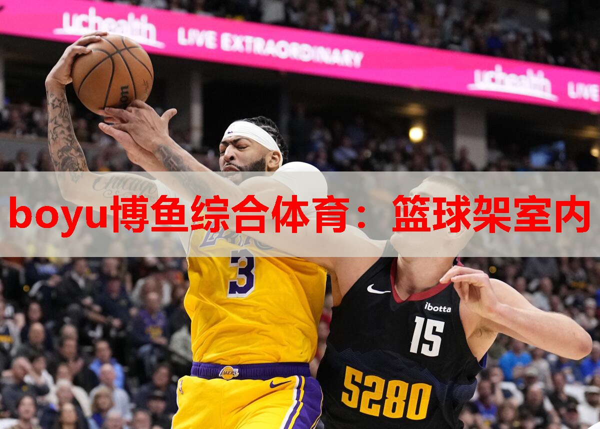 boyu博鱼综合体育：篮球架室内