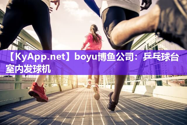 乒乓球台室内发球机