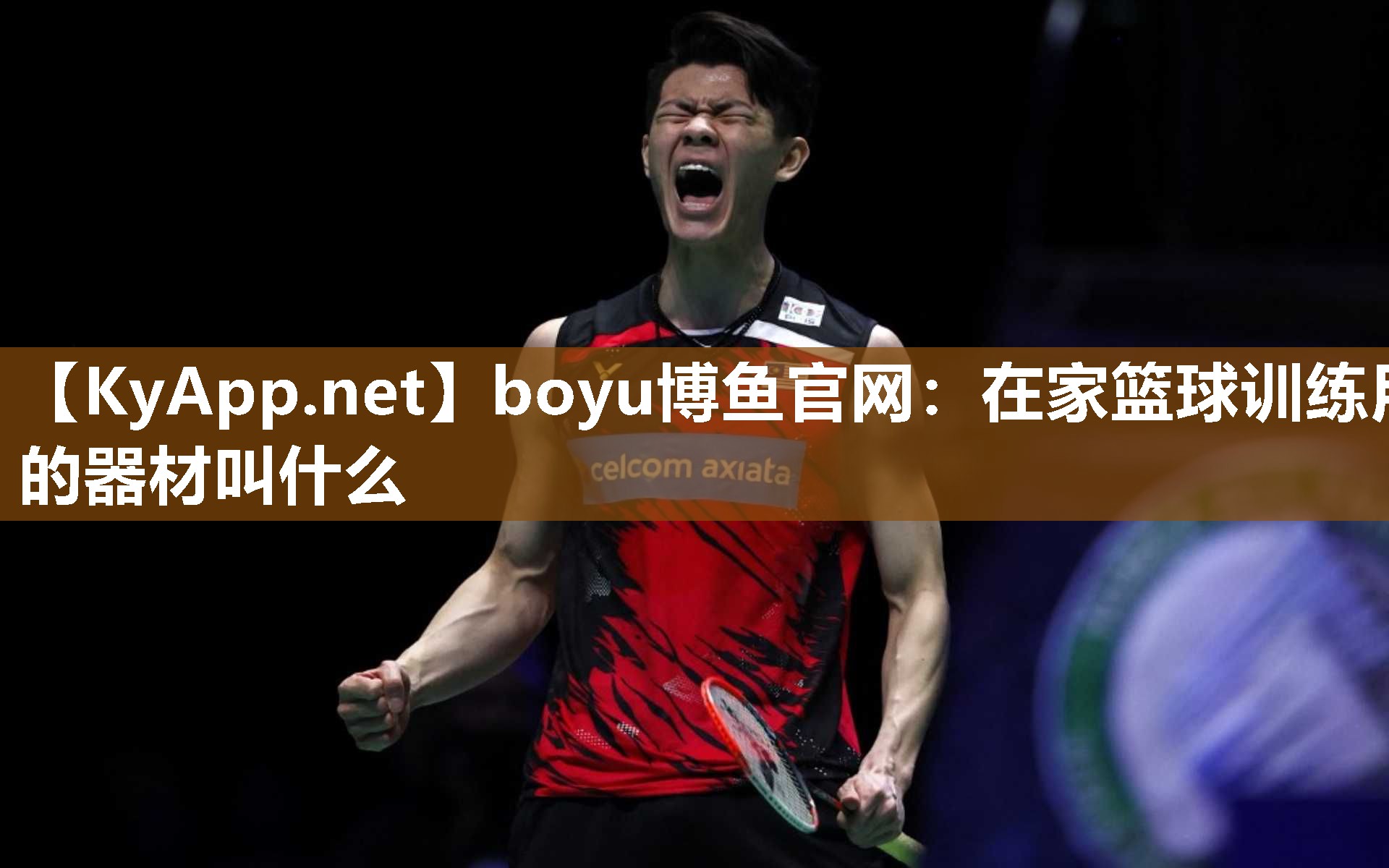 在家篮球训练用的器材叫什么