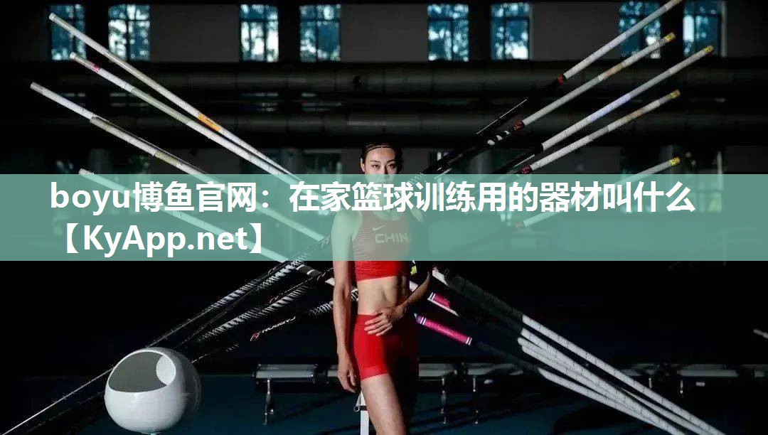 在家篮球训练用的器材叫什么