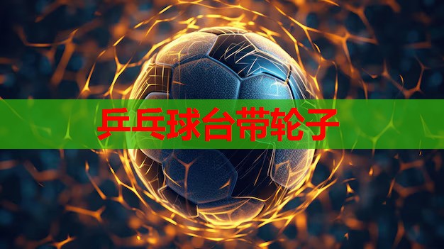 乒乓球台带轮子