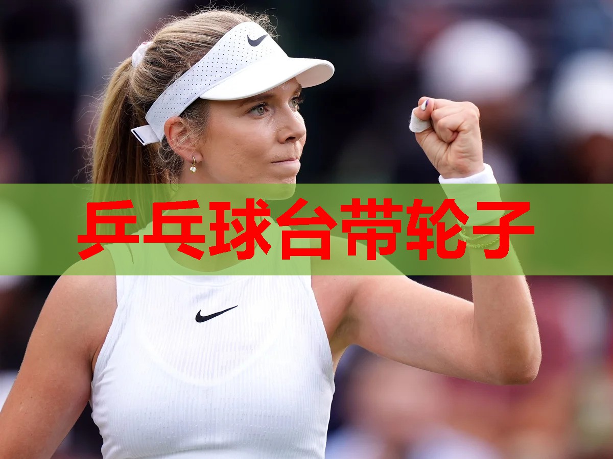 乒乓球台带轮子