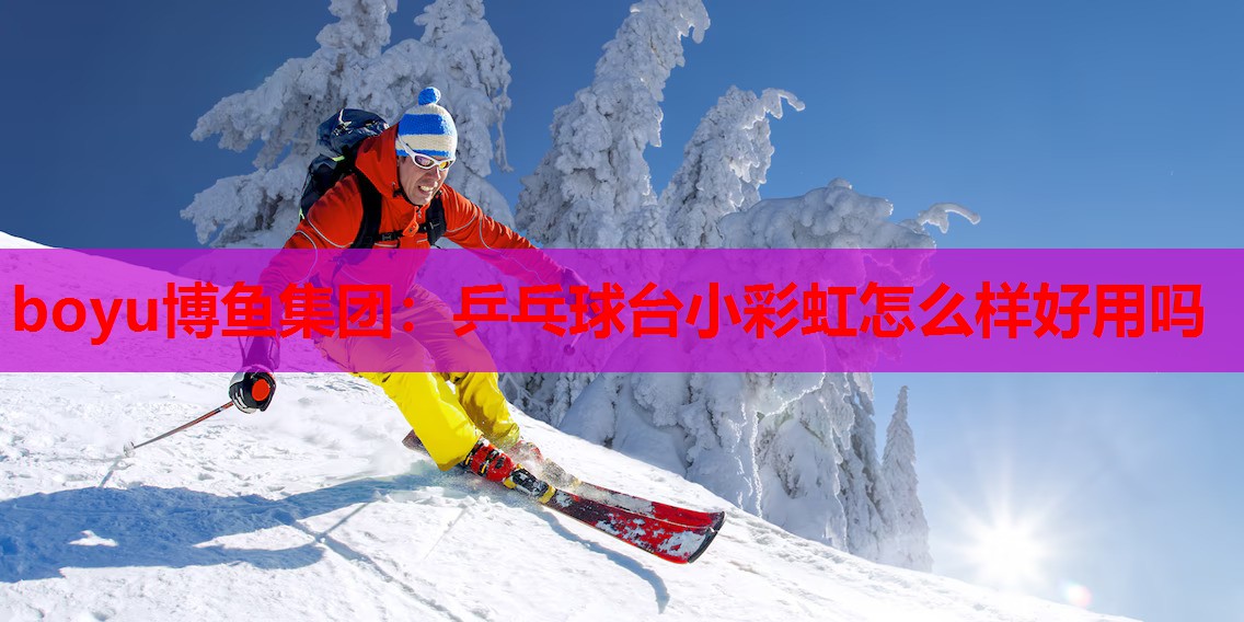 乒乓球台小彩虹怎么样好用吗