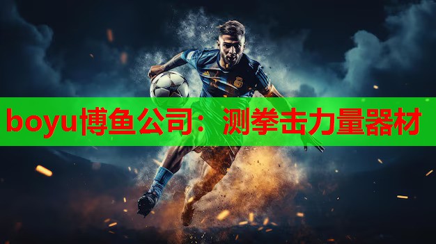 测拳击力量器材