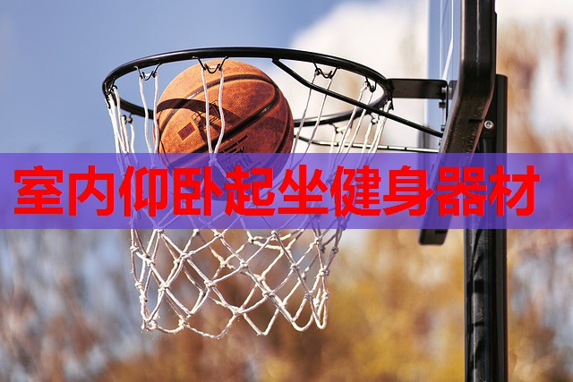 室内仰卧起坐健身器材