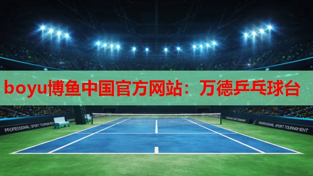 万德乒乓球台