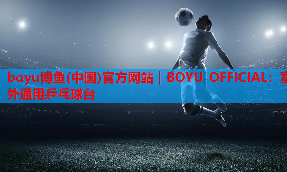 室外通用乒乓球台