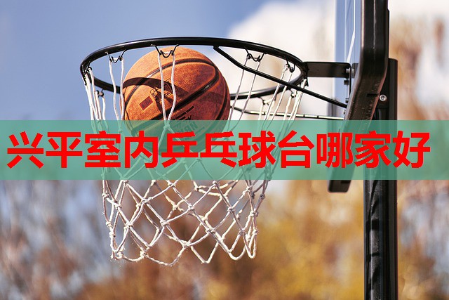 兴平室内乒乓球台哪家好