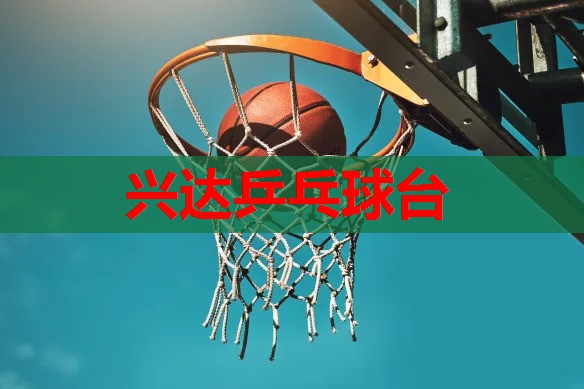 兴达乒乓球台