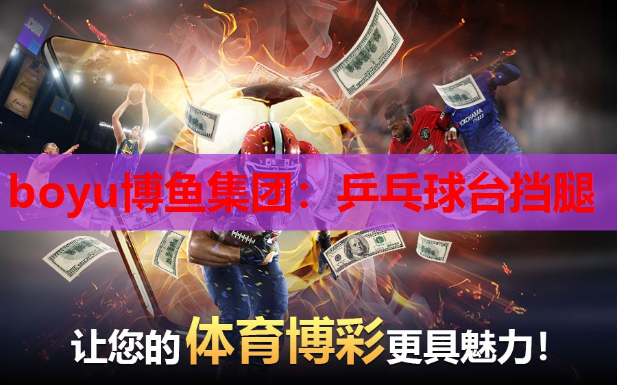 乒乓球台挡腿