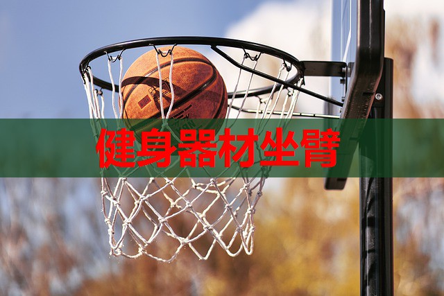 健身器材坐臂
