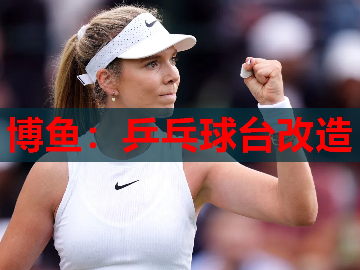 乒乓球台改造