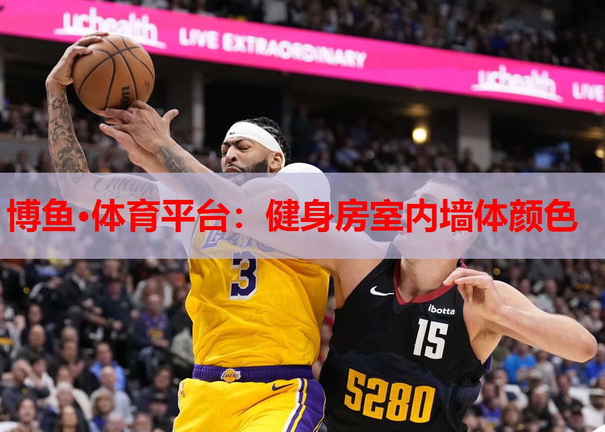 健身房室内墙体颜色
