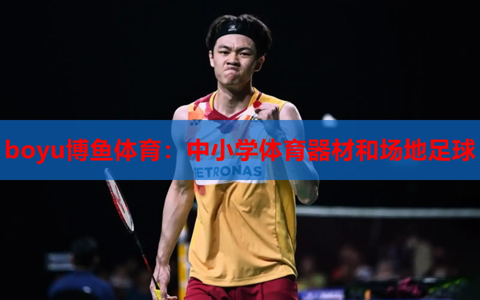 中小学体育器材和场地足球