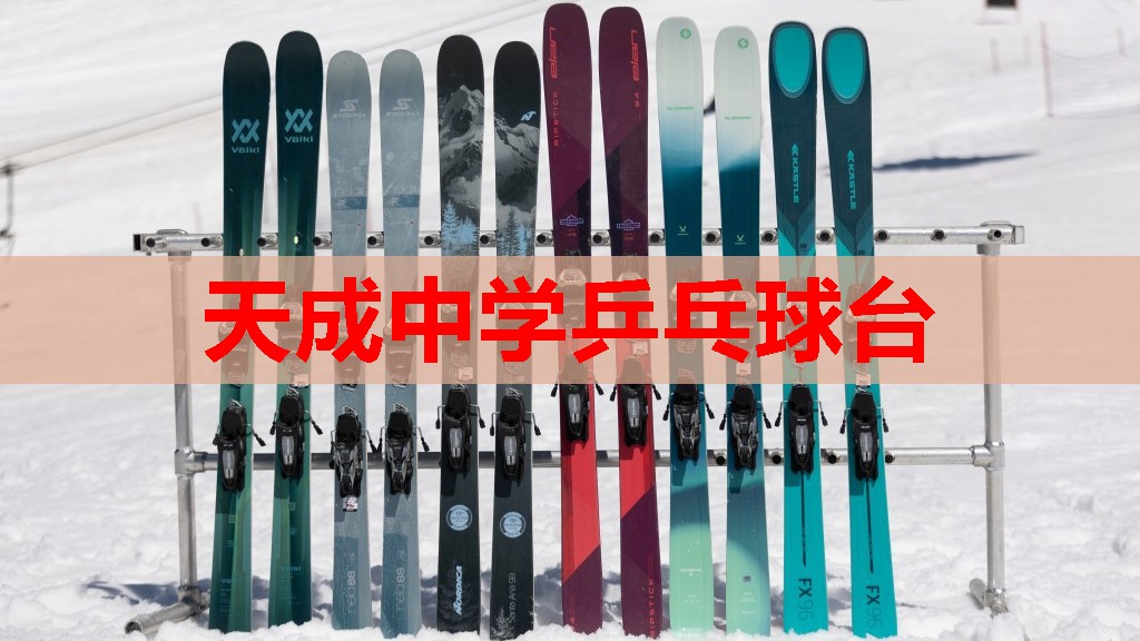 天成中学乒乓球台