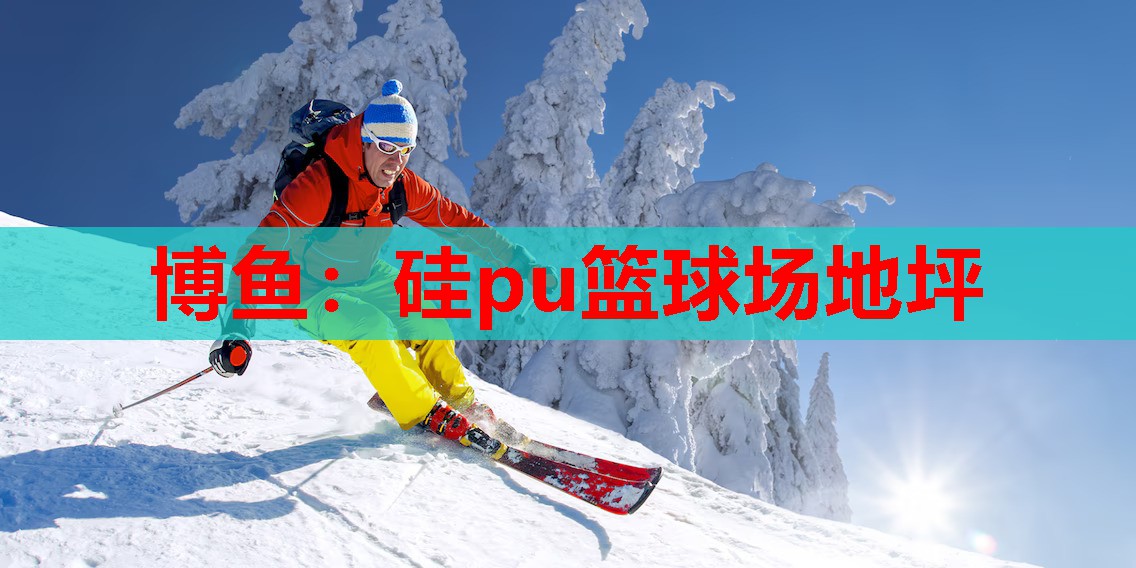 硅pu篮球场地坪