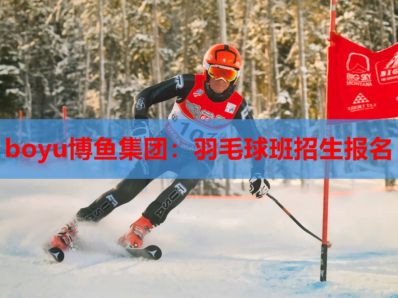 羽毛球班招生报名