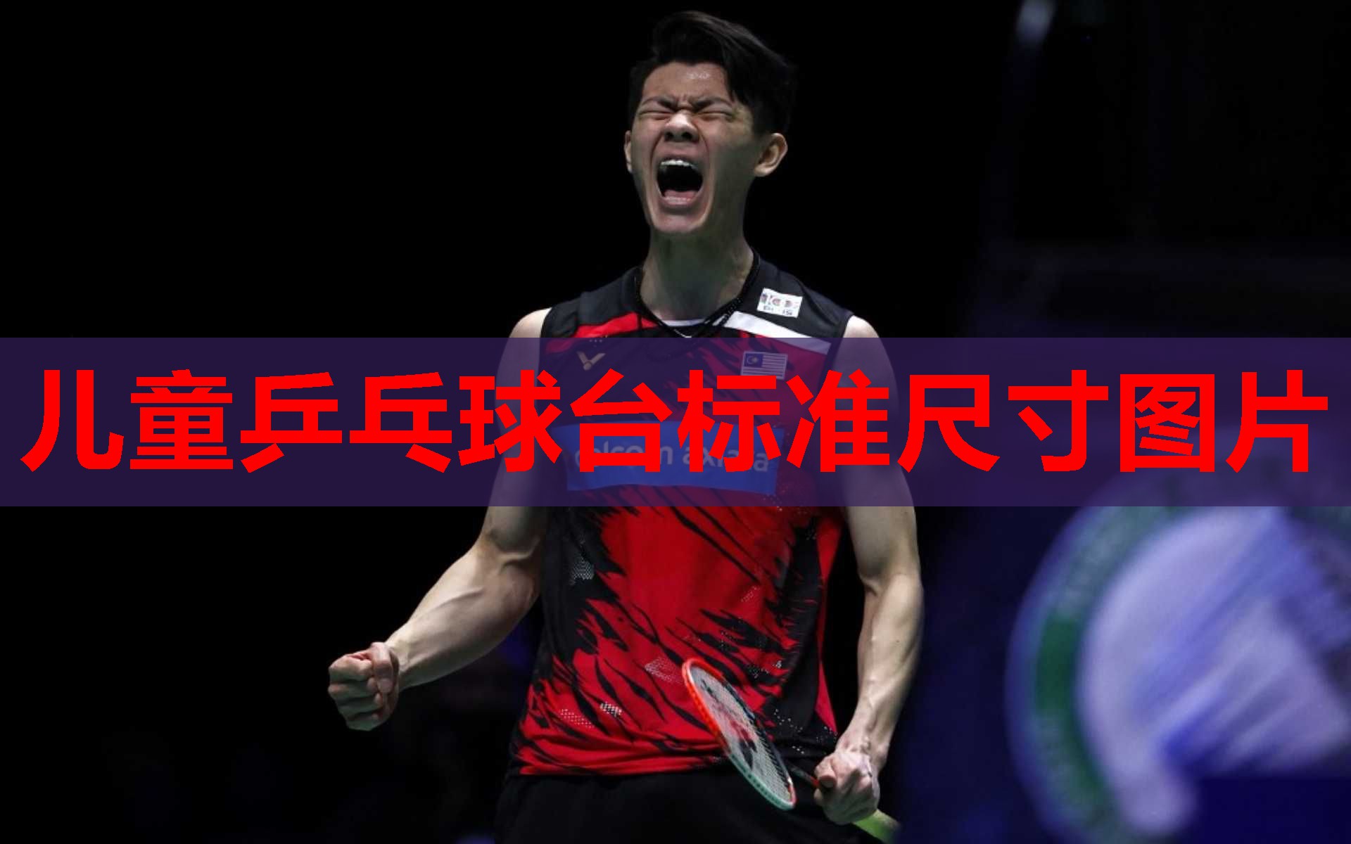 儿童乒乓球台标准尺寸图片