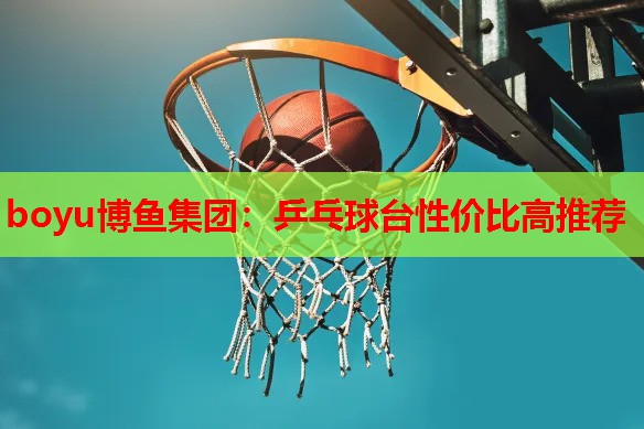 乒乓球台性价比高推荐