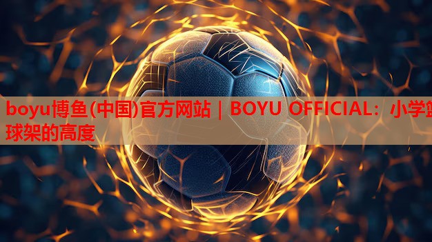 小学篮球架的高度