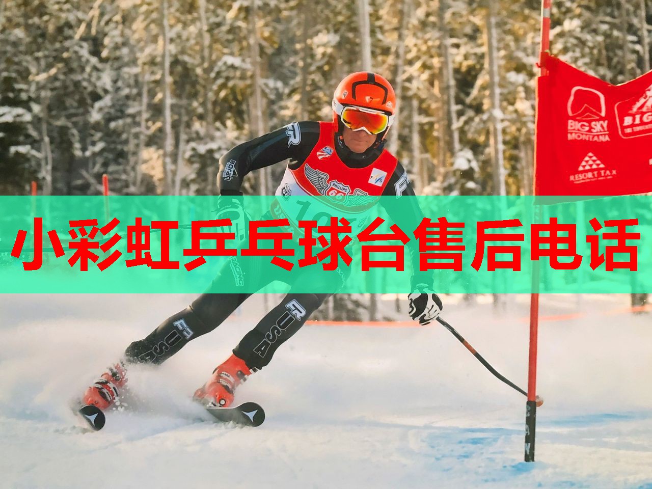小彩虹乒乓球台售后电话