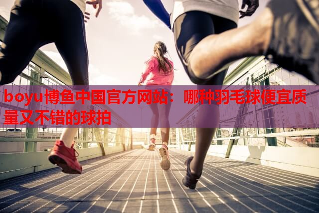 哪种羽毛球便宜质量又不错的球拍