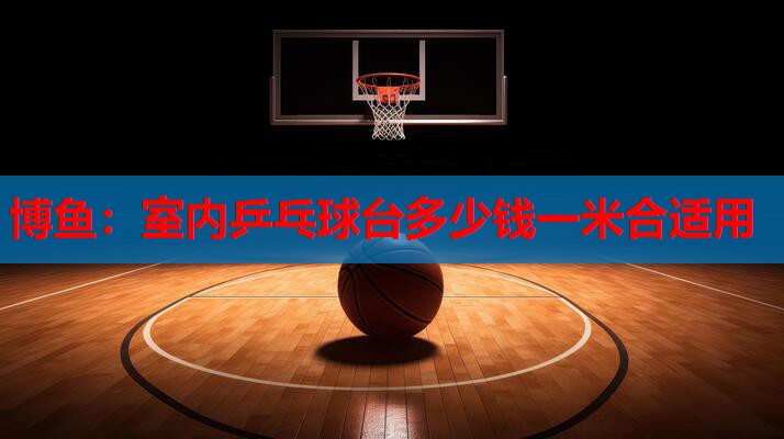 室内乒乓球台多少钱一米合适用