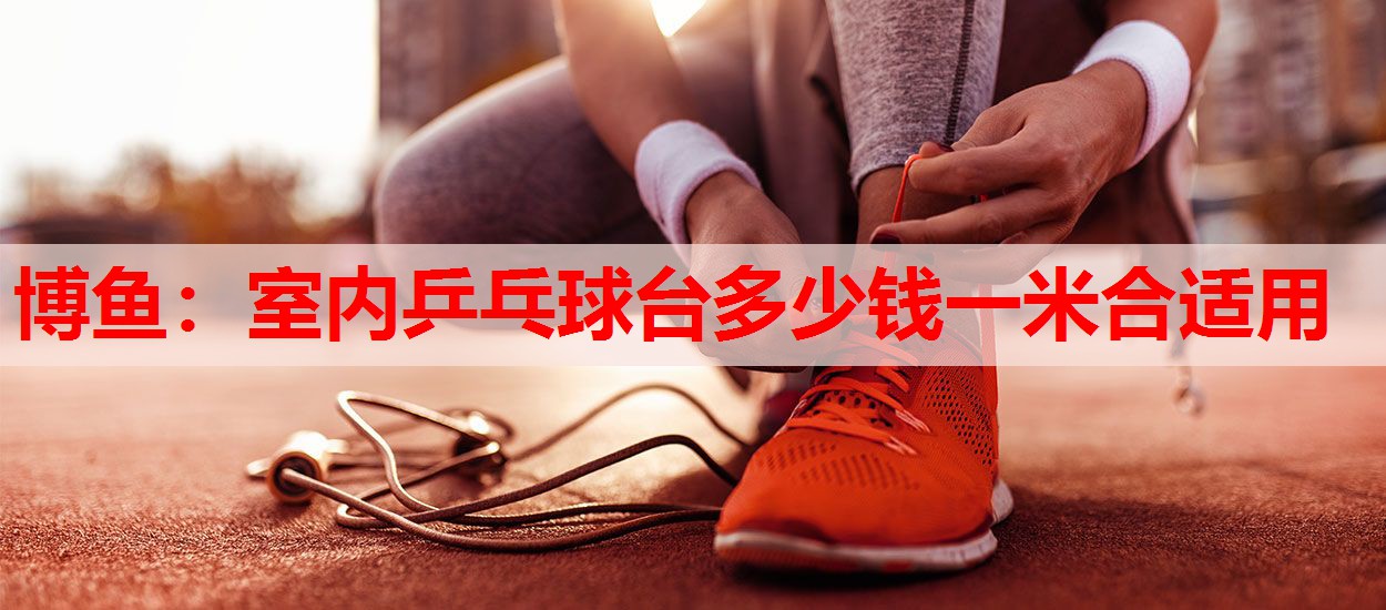 室内乒乓球台多少钱一米合适用